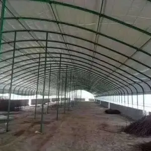 镀锌管 大棚管 大棚椭圆管 大棚配件