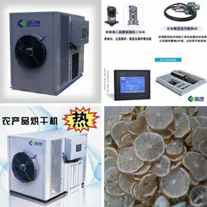 柠檬片热泵烘干机 黎檬空气能烘干设备 柠果干燥机