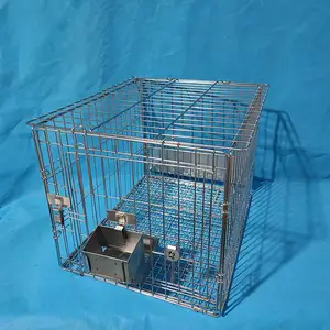 ����������ܳ�ϴʽ�����ܼ�������ʵ����������������