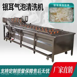 本草银耳白木耳清洗流水线 果蔬清洗加工流水设备