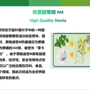 供应山东三元去苦味优质甜菊糖(莱鲍迪苷M)