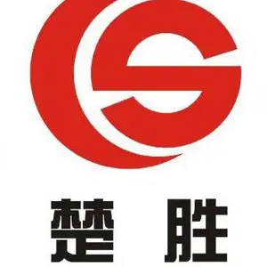 楚胜汽车集团有限公司