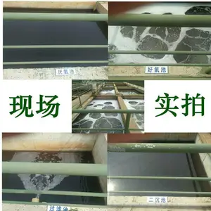 硝化菌液硝化菌种污水处理菌降氨氮工业处理污水快速达标厂家