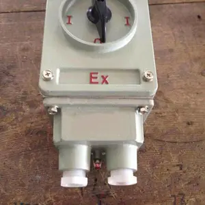 振磊防爆 防爆照明开关AC220V