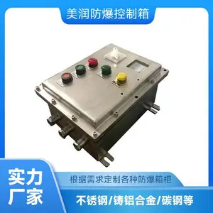 美润IIC接线照明箱 防爆控制箱 不锈钢定制 ***