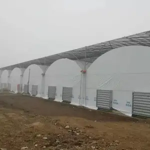 连栋大棚大棚钢管果树连体大棚内外遮阳温室大棚厂家自贡自流井