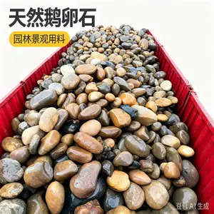 卵石源头鹅卵石滤料厂家 变电站滤油用鹅卵石园林铺路用大块鹅卵石