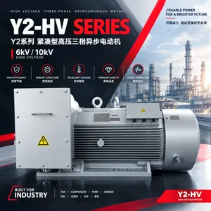 Y2系列高压电动机Y2-HV 355-6-160KW 6KV中达电机