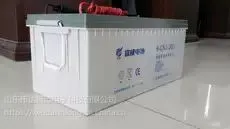 【江苏厂家热销富威铅酸蓄电池动力专用】 价格 参数