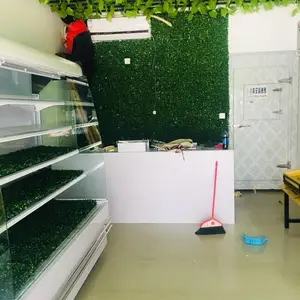 ����ֲ�������ƺ����ǽ����ֲǽ�ݶ��������װ�α���ǽ