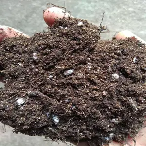 �̲��������Ӫ�������� �ӱ���˳��ҵֱ��