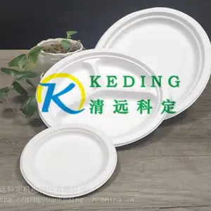 广东纸托厂供应一次性餐盒 纸塑餐盘 烧烤盘蛋糕盘