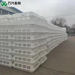 肉鸡***笼 大鸡***笼 折叠周转筐