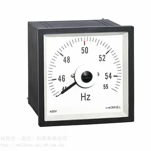 WDG96-HZJ 船舶频率表
