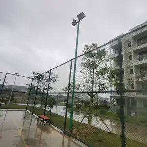 ��ɫ�������������Ƹ�������·�Ƹ˶������