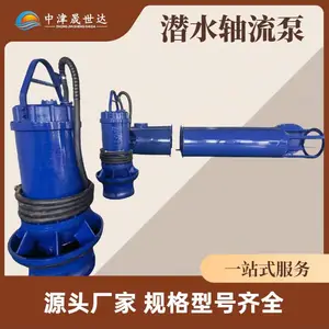 潜水轴流泵 水库发电引水 生态补水 中津晟世达