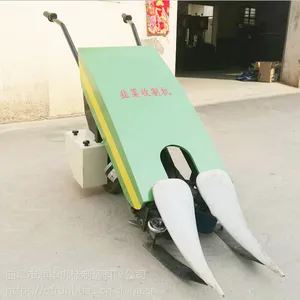 ½�ؾ²��ո�� �� ����С�͸�˻� �ų�һƬ�ĵ綯��²˻�