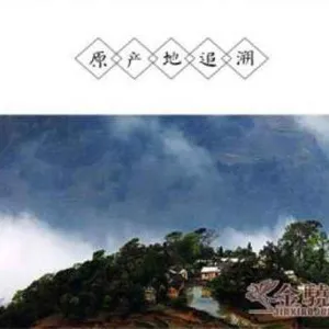 段木黑木耳销售