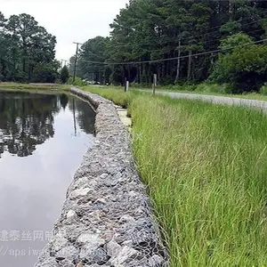 ������ŵ���� ���¸���� �ӵ�ʯ����