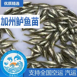 ���������糡������������ֳ���� ������������������