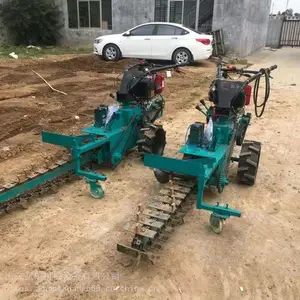 ֱ���ַ�˫���������� ũ����ֲ�ڹ��� ���̵��¿�����