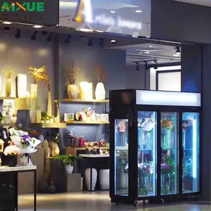 �ʻ������չʾ�� ����˫�����Ż����ʻ����ʷ���չ�� ���ñ������