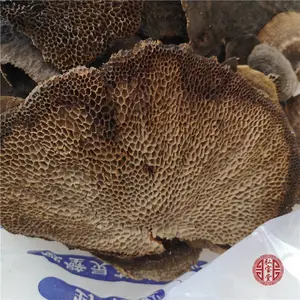 �����ٵ�ҩ�ü�ֵ ���ǽ�С����������ì����