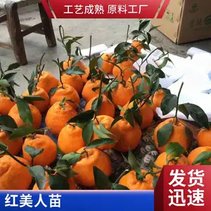 �ļ����̸����� 1����С�� �������� ֧�ֶ��� ���ҹ�Ӧ