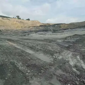 �Ĵ�üɽú̿�����ֳ������ų���