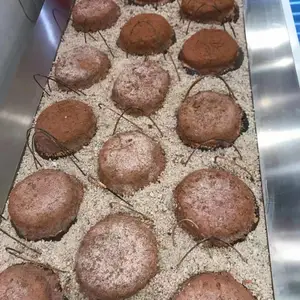 恒尔酒店养生汤采用微电脑控制机器全不锈钢材质海盐位置口感浓郁