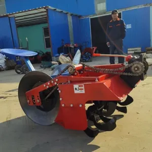 �ַ����������ײ�ݮ������¢�� ������һ�γ��� ������