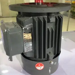 �۵¶������ YE2-132S2-2 7.5KWB5 �����첽�綯��