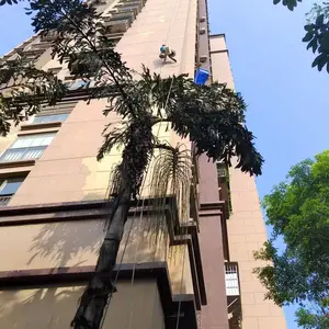 �山���˸߿����� �չ�ש�Ų� ��ǽά�� ֤����ȫ��ҵ
