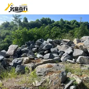 河北批发太湖石 河北室内外太湖石假山天然景观石材 河北太湖石厂家