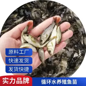 �۷�ˮ�������罨������ ������ǿ����ʡ��Ƭ������ֳ��ѡ����