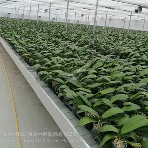 温室材料,智能潮汐苗床,感受科技育苗魅力