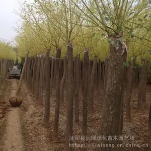 �ƽ�������� 3����4����5����6���ֻƽ𻱼۸�