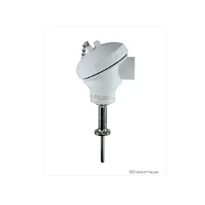 E+H iTHERM TM402卫生型温度计(英制/美标)