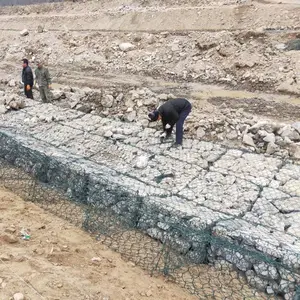 ��̩�̱�������̬�̸�����пʯ����