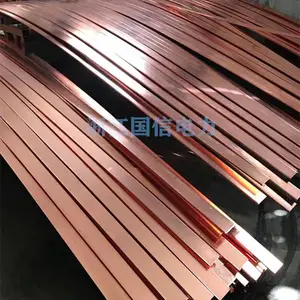 【国信】铜包钢扁钢,规格齐全40×4/50×5/60×6