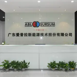 广东爱普拉新能源技术股份有限公司