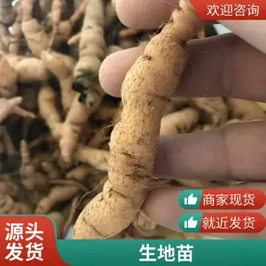 ���Ͳ����� �Ͳ����� �����籭�� �޸����ܶ������ر�