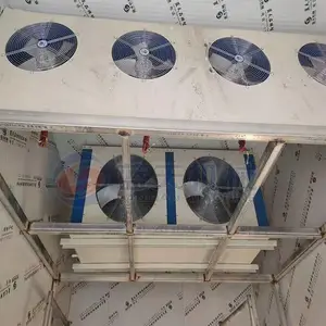 ���� �ٺϺ�ɻ� ȫ�Զ��ٺϺ�ɻ� ����