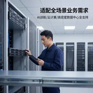 双路服务器 支持多 GPU 扩展企业级 AI 训练推理平台 企业数据中心设备