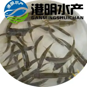 ���������������� ��ˮ����������� �һ����� ���� ����������ֳ��Ƶ�̳�