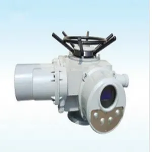 ģ�������ƽ��շ���4��20mA��׼�ź�DZW60-24T���ڵ綯װ��