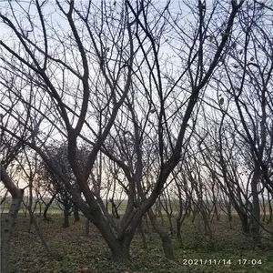 ����Ե �߸���÷ ����÷ Ʒ����ȫ