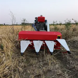 �����ո����̨�����ոѸ�ɹ���ƶ���ֲС���ո��