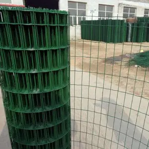 河北安平聚光 专业供应 荷兰网 电焊网