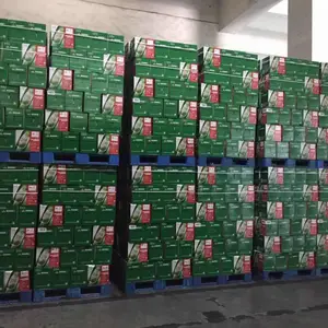 ���Ƹ۲ֿ�����ʽ���� �������̼۸�